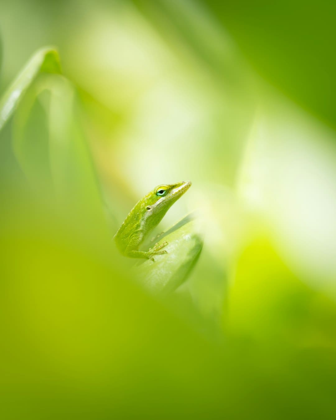 巴菲特旗下公司二季度经营赢利下降